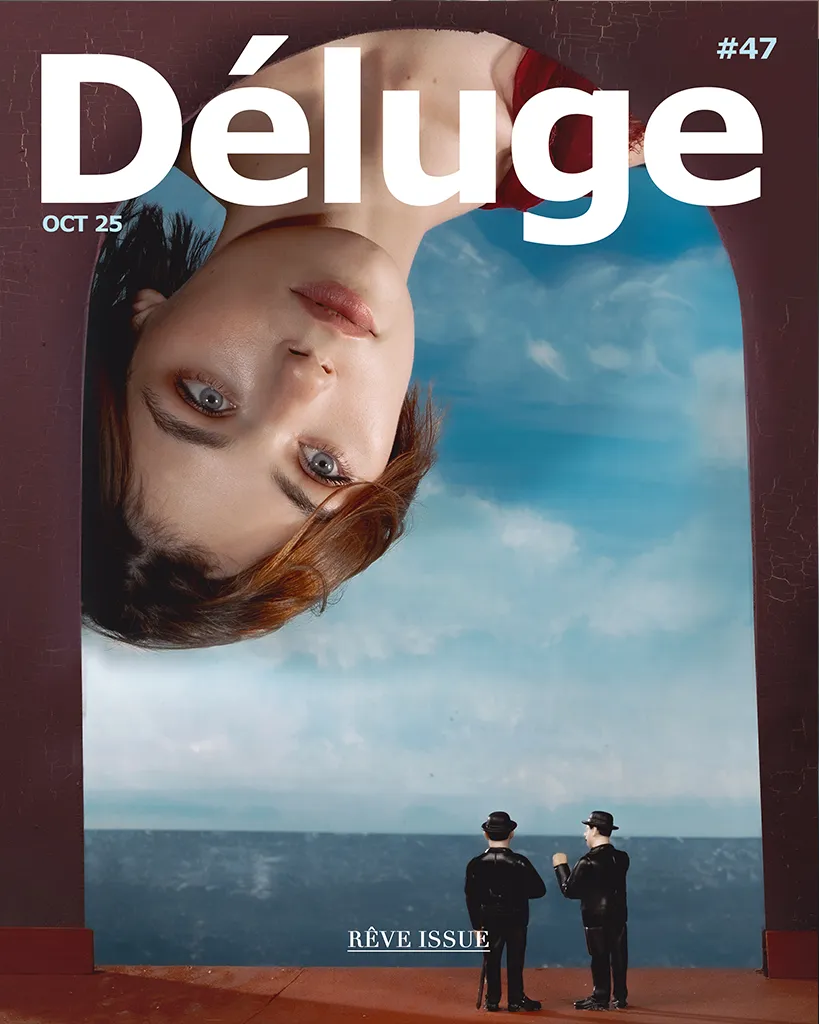copertina deluge magazine numero 74